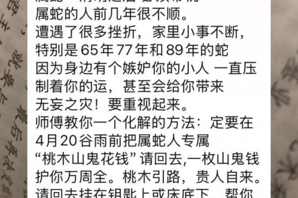蛇和谁结婚最旺运核心技术解析