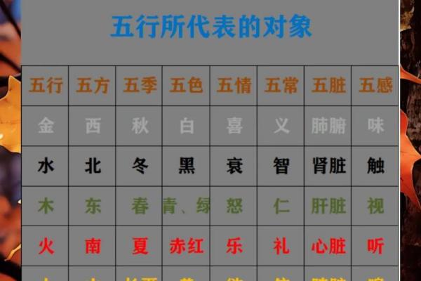 山下火与海中金是否相克