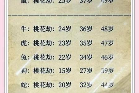 属兔人需避开的桃花劫与命中克星