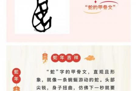 蛇和谁结婚最旺运核心技术解析