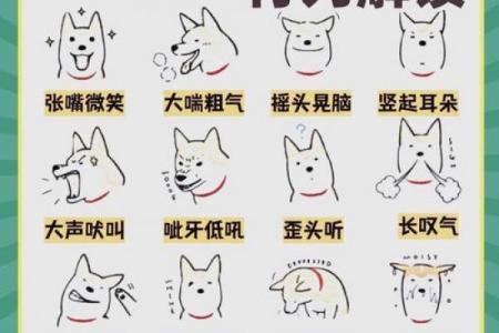能让狗男低头的生肖女