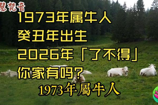 73年属牛者2026年是否有喜事