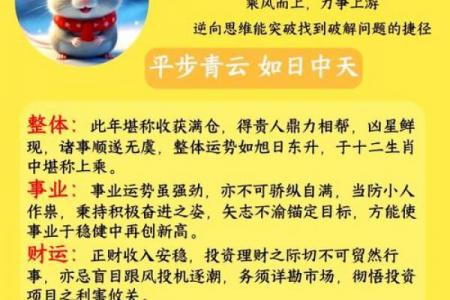 2026年生肖鼠的事业发展趋向