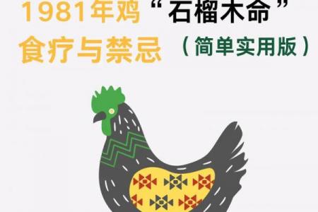 木鸡命适宜的颜色