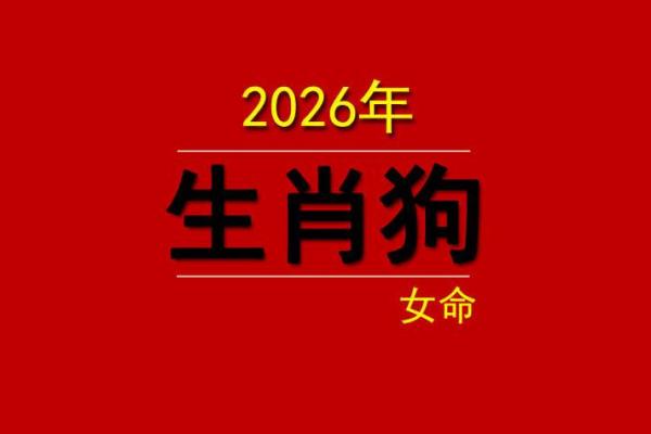 2026年属狗男士桃花运旺到爆