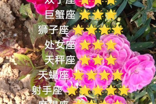 白羊座12月28日运势