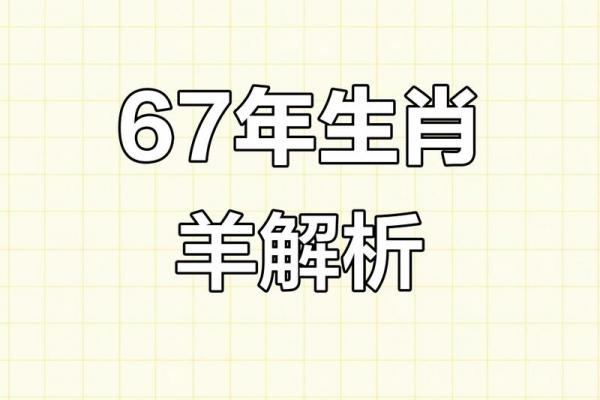 67年属羊女性晚年是否会有伴侣