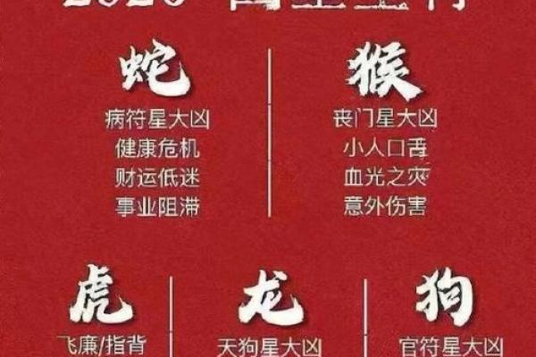 属鼠者情劫年份解析：桃花劫高发时段