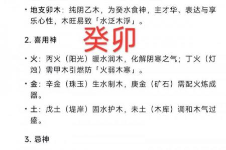 木兔命理如何