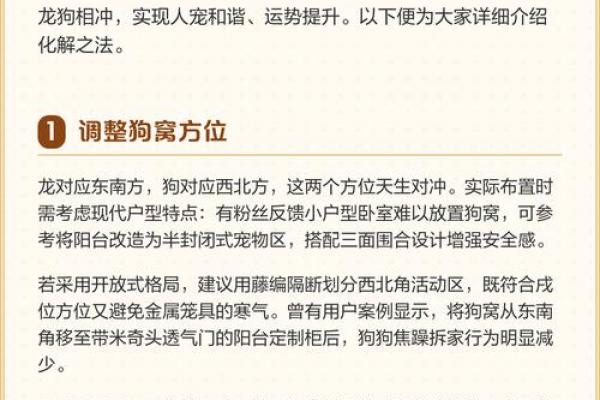 属龙人运势不顺的化解方法