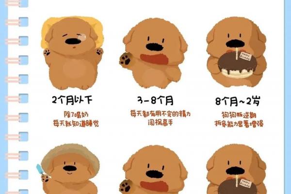 生肖狗最艰难的年龄段