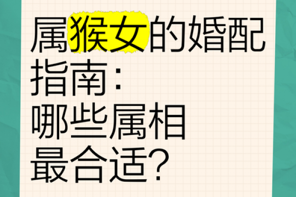 属猴者晚年是否会有伴侣相伴