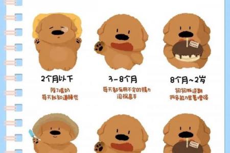 生肖狗最艰难的年龄段