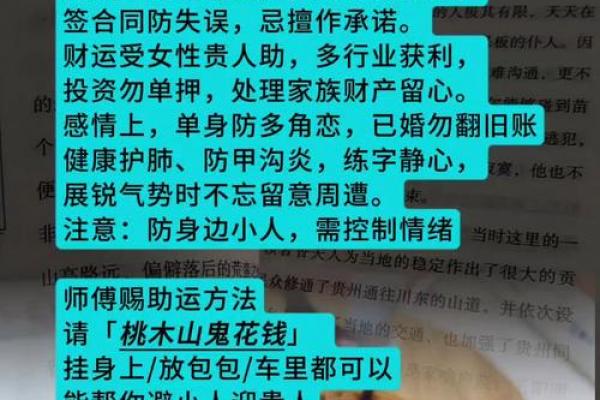 1981年属鸡者2026年运势解析