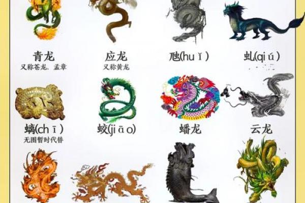 属龙者能压制何类人