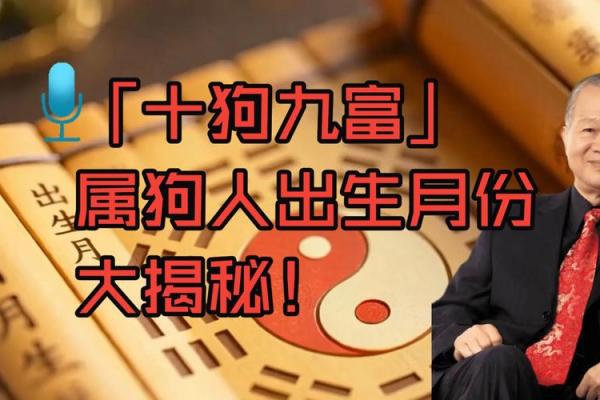 属狗者富贵命对应出生月份