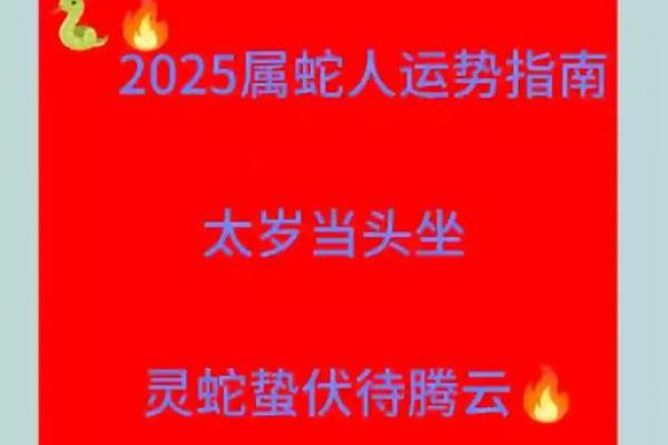 属蛇事业上和什么不合：完整指南与实践