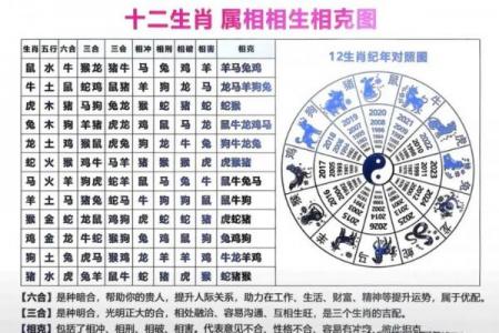 水猴命与火命兔的相合性