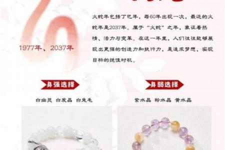 属蛇事业上和什么不合：完整指南与实践