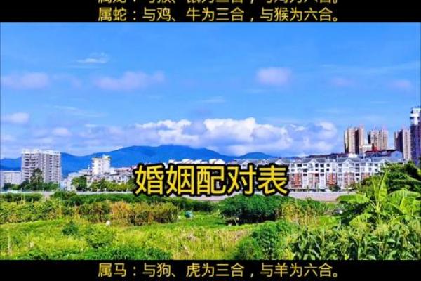 土羊命与大林木命婚姻匹配度分析