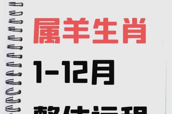 2026年属羊者上半年运程解析