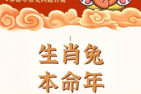 金兔命格缺什么