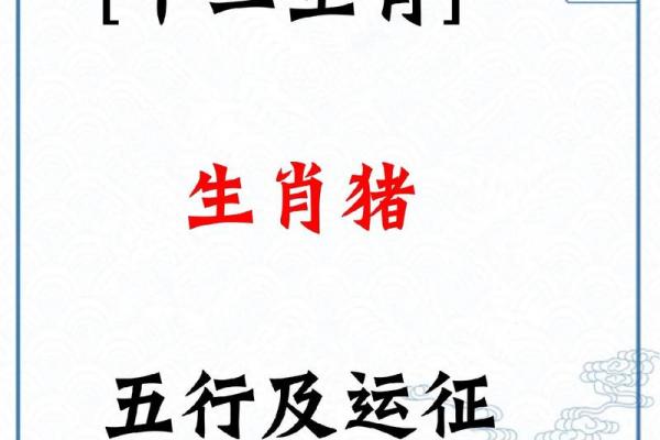 属猪人走大运的年龄段