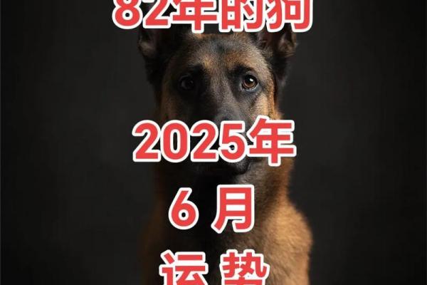 82年属狗者2026年婚姻状况预测