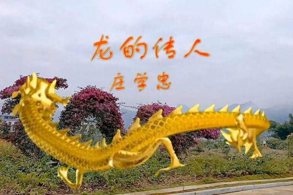 龙一生的恩人