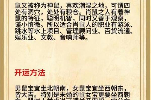 属鼠者2026年创业适宜性分析及马年事业运势解读