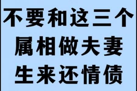 深入理解属蛇的上上等婚姻是什么生肖