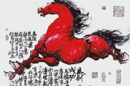 马与何生肖永无尽头