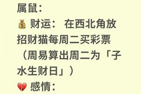 属鼠者2026年创业适宜性分析及马年事业运势解读