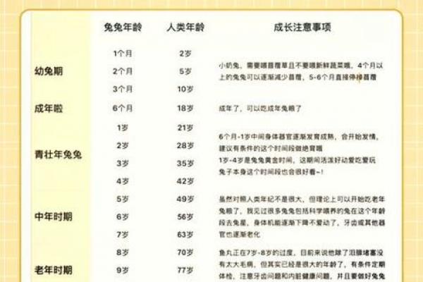 属兔人2026年姻缘解析