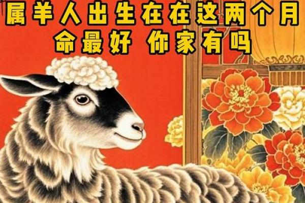 91年属羊女性哪个月出生旺夫