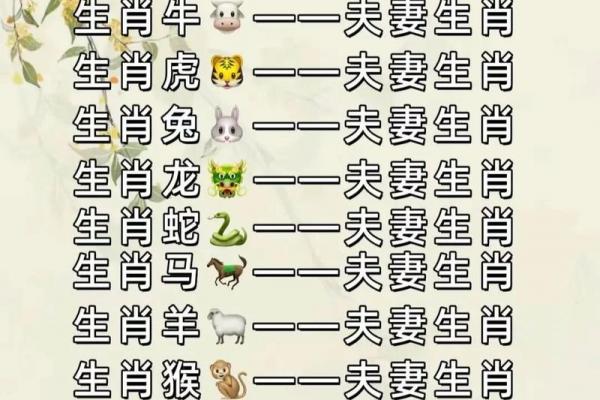 属蛇人二婚才是正缘？头婚与二婚哪个更好