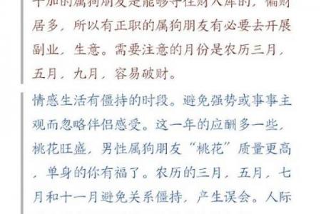 2026年属狗女性大忌与马年属狗女忌讳