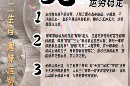 属兔人2026年姻缘解析