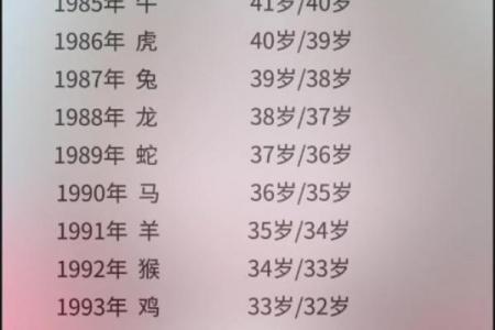 鸡的心上人对应的生肖