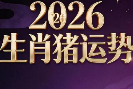 属猪人2026年运势提升指南