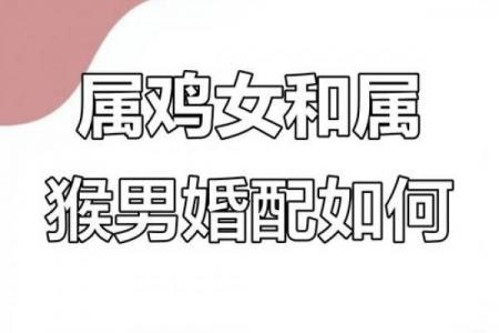 鸡女最嫌弃的生肖男