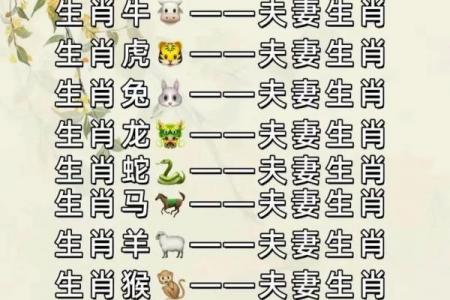 属蛇人二婚才是正缘？头婚与二婚哪个更好
