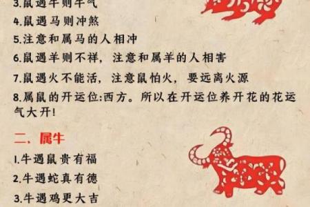 属猪人的桃花贵人