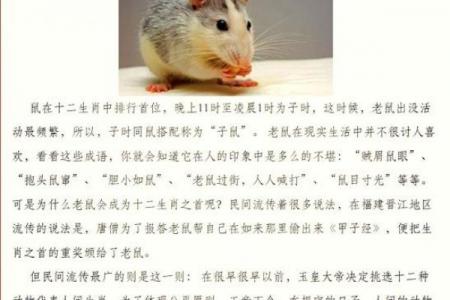 1960年出生属鼠者一生运势解析