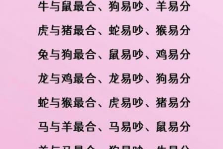 属兔女性送亲最佳选择