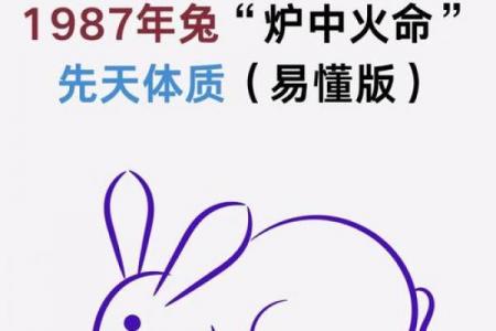 土马命与炉中火兔是否相克