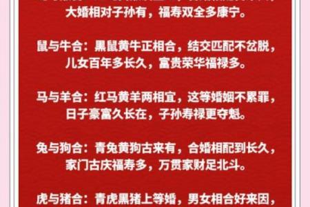 火羊命与大海水命配婚是否合适