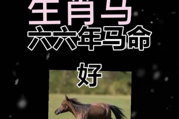 2026马年对属马人运势影响