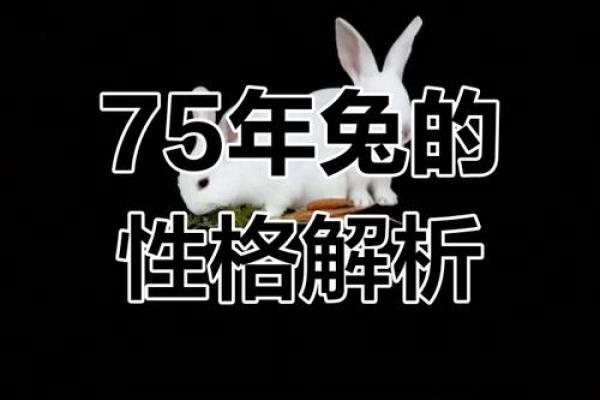属兔者离婚年份预测