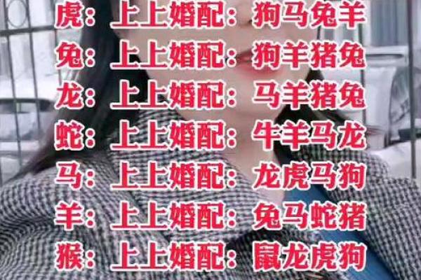 金猴命与海中金命是否相配
